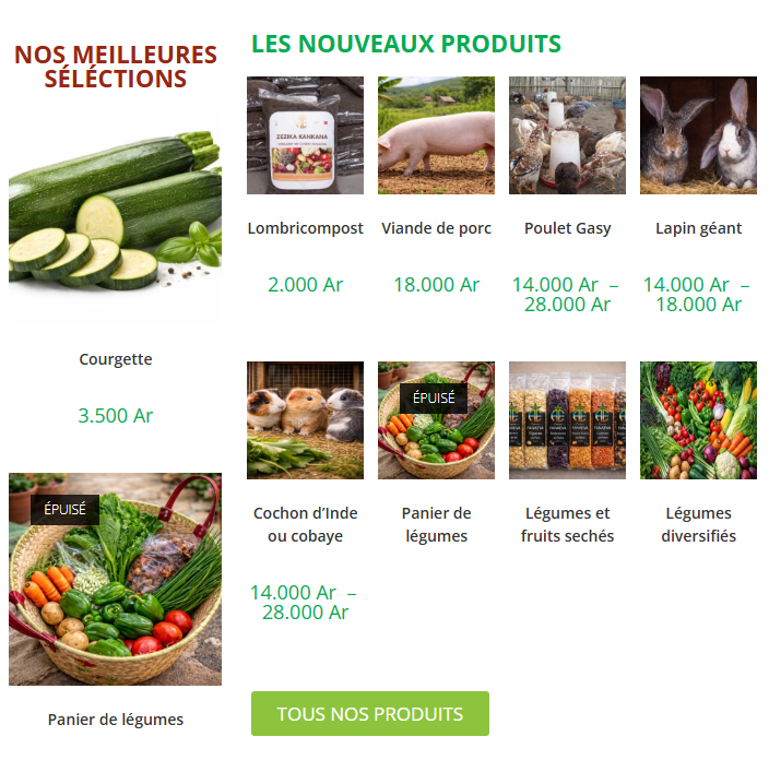 Site web FANAEVA